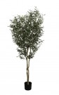 Kunstig Oliventre m/Oliven UV 180 cm thumbnail